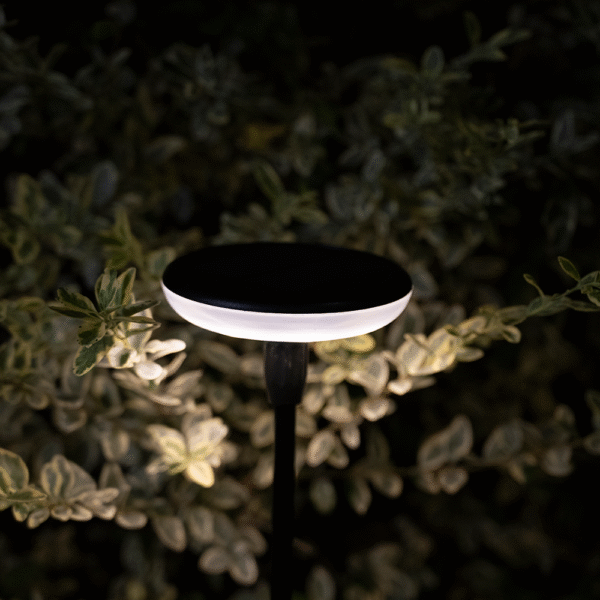 Grumpy Gardener Set of 6 Solar Sway Lights